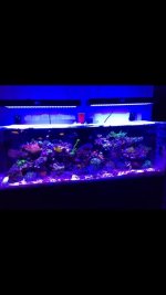 IMG_1790.jpg