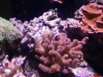 20160629_131707.jpg