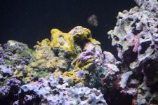 DSC_0034.jpg