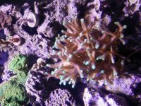 20160629_131650.jpg