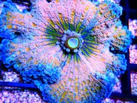 DSCN3508.JPG