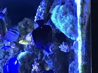 IMG_4762.jpg