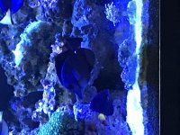 IMG_4763.jpg