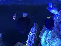 IMG_4764.jpg