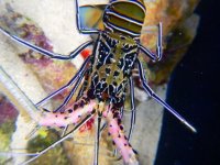 DSCN3518.JPG