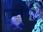 IMG_4767.jpg