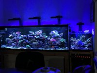 IMG_1473.jpg