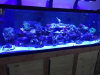 IMG_1066.jpg