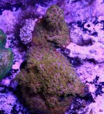 IMG_2995.jpg