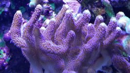 20160418_180734.jpg