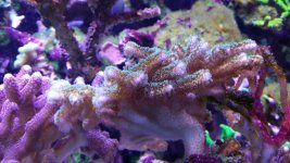 20160418_180714.jpg