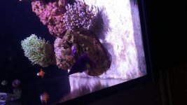 20161028_161328.jpg