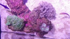 20161028_170528.jpg