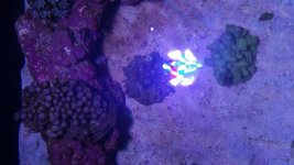 20161028_170532.jpg