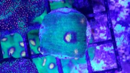 20160419_204723.jpg