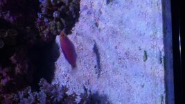 20161028_170540.jpg