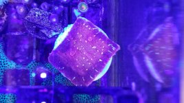 20160419_204643.jpg