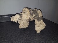 Rock 2.jpg