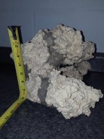Rock 5.jpg
