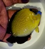 20161029_171648.jpg