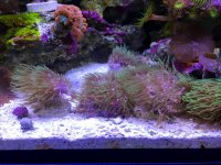 IMG_1549.jpg