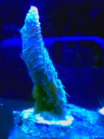 IMG_0559.jpg
