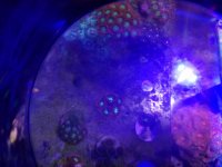 20160709_130254.jpg