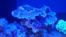 2016-01-08 20.53.07.jpg