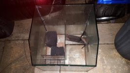 20160221_221332.jpg