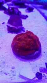 2016-01-09 16.45.52.jpg