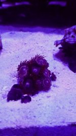 2016-01-09 17.05.50.jpg