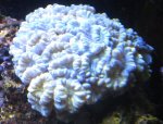 IMG_2617.jpg