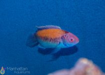 IMG_6662.jpg