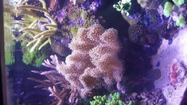 20160222_174734.jpg