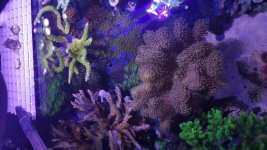 20160222_174831.jpg