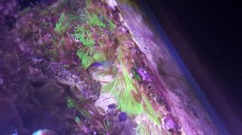 20160222_175659.jpg