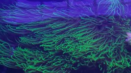 20160222_175639.jpg
