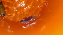 20160222_195114_resized.jpg