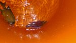 20160222_195119_resized.jpg