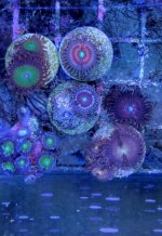 20160710_190746.jpg
