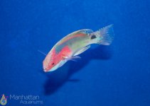 IMG_6683.jpg
