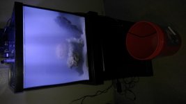 20160409_202508.jpg