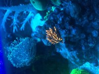 IMG_0279.jpg