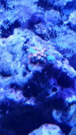 20150402_143422.jpg