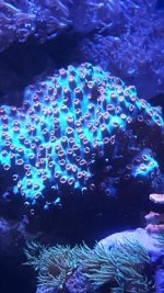 20160223_125407.jpg