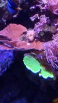 20160223_125448.jpg