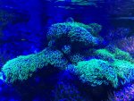 IMG_6468.jpg