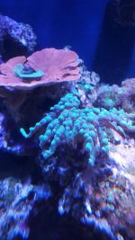 20160223_125433.jpg