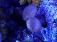 20161024_003108.jpg