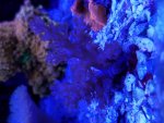 20161011_230528.jpg
